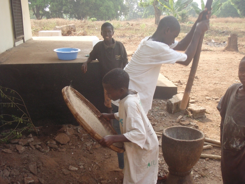 Fanning Millet in Sierra Leone